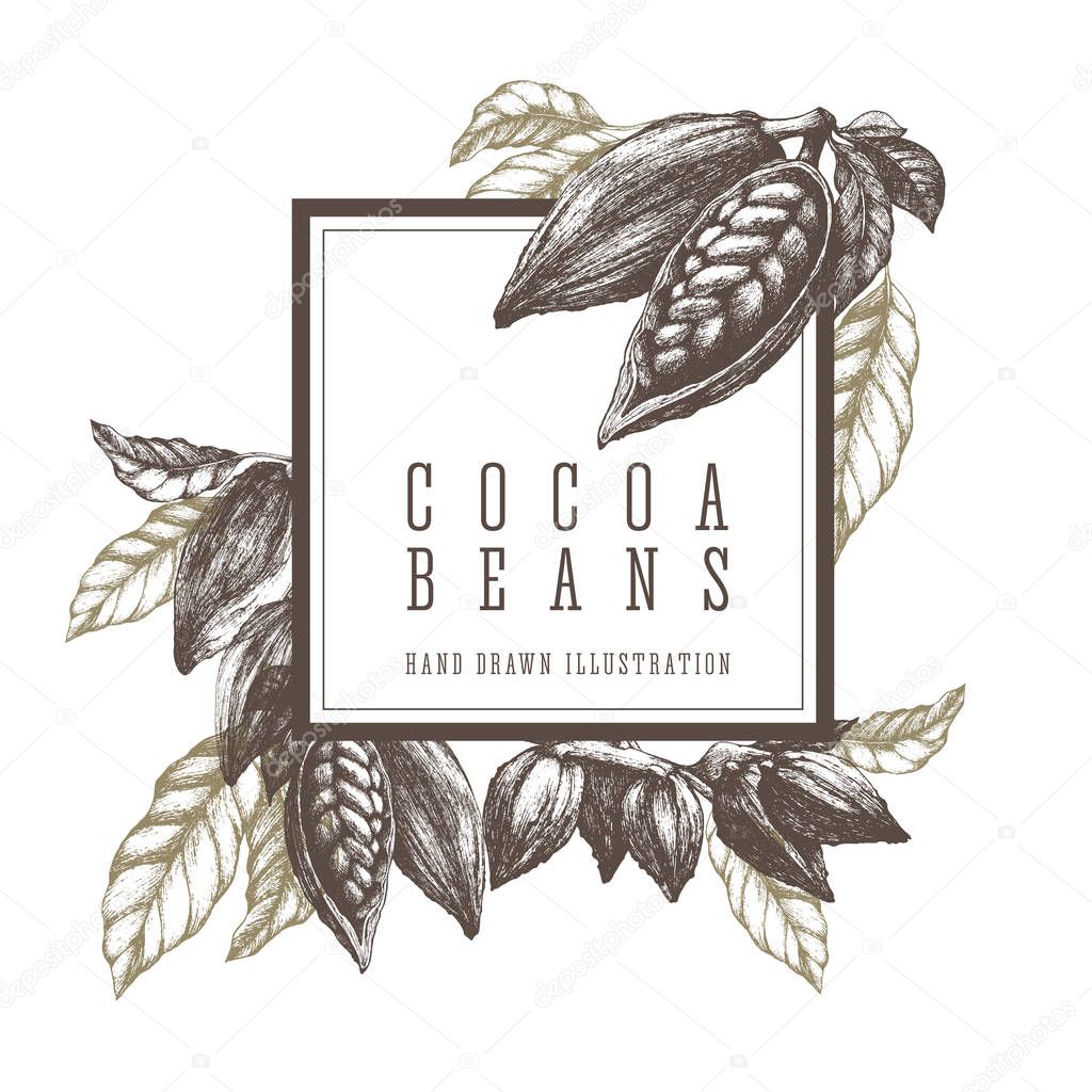 Cocoa beans and branch. Square frame template sketch illustration. Vector design elements hand drawn artwork.