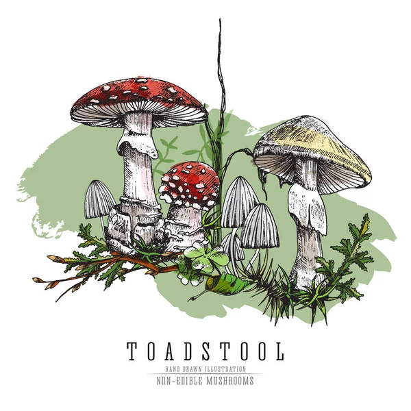 Molto pericoloso non commestibile funghi velenosi foresta colorato schizzo vettore illustrazione isolato . — Vettoriale Stock