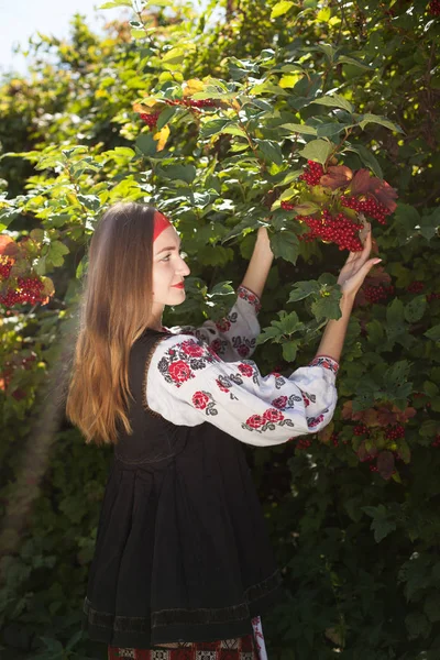 国民服の長い髪の美しいウクライナの女の子は夏の家の外の Guelder ローズのブッシュの背景に刺繍 — ストック写真