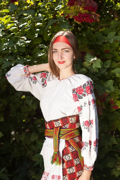 Piękna Dziewczyna Ukraiński Długimi Włosami Krajowych Ubrania Haftowane Tle Krzew — Zdjęcie stockowe