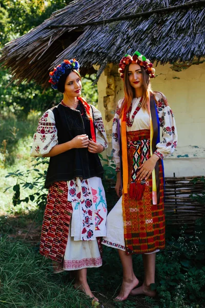 两个美丽的乌克兰女孩金发和黑发在全国刺绣衣服上的一个木小屋在夏季的背景 — 图库照片