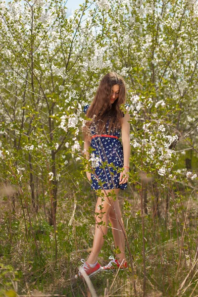 Όμορφο Κορίτσι Ένα Καλοκαίρι Φόρεμα Περιβάλλεται Από Ένα Ανθοφορίας Δέντρο — Φωτογραφία Αρχείου