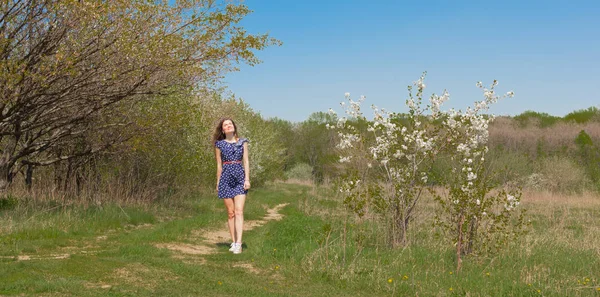 Menina Bonita Vestido Verão Está Andando Longo Caminho Grama Sol — Fotografia de Stock