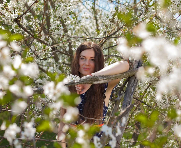 Bir Yaz Aylarında Güzel Kız Elbise Bir Çiçek Açması Ağaç — Stok fotoğraf