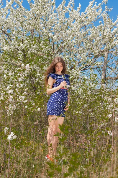 Schöne Mädchen Einem Sommerkleid Umgeben Von Einem Blühenden Baum Vollem — Stockfoto