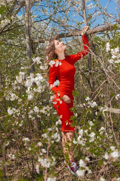 Piękna Dziewczyna Lato Sukienka Otoczeniu Kwitnących Drzew Pełny Wzrost — Zdjęcie stockowe