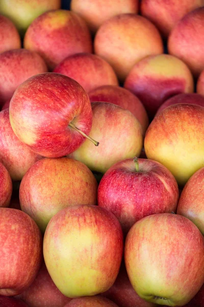 Colorful background of gala apples.