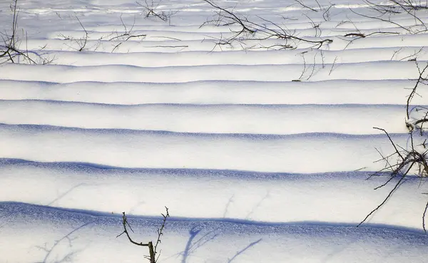 Natuur Winter Koud Seizoen Winterlandschappen Faciliteiten Foto Micro Stock — Stockfoto