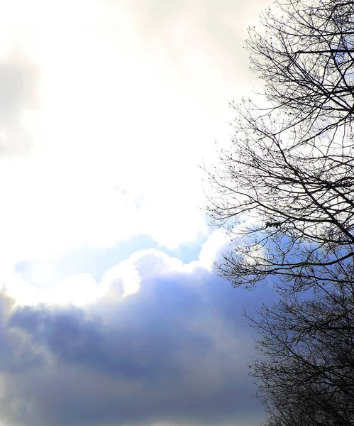Nubes Coloridas Esponjosas Cielo Azul Primavera — Foto de Stock