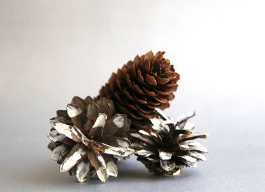 öğeleri kış tatil