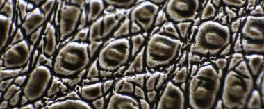 fotoğraf mikro-hisse senedi için gizemli sıradışı güzel arka planlar