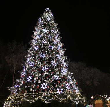 Şehir Noel ağacı Vinnitsa Ukrayna fotoğraflar için mikro-stok