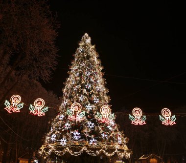 Şehir Noel ağacı Vinnitsa Ukrayna fotoğraflar için mikro-stok