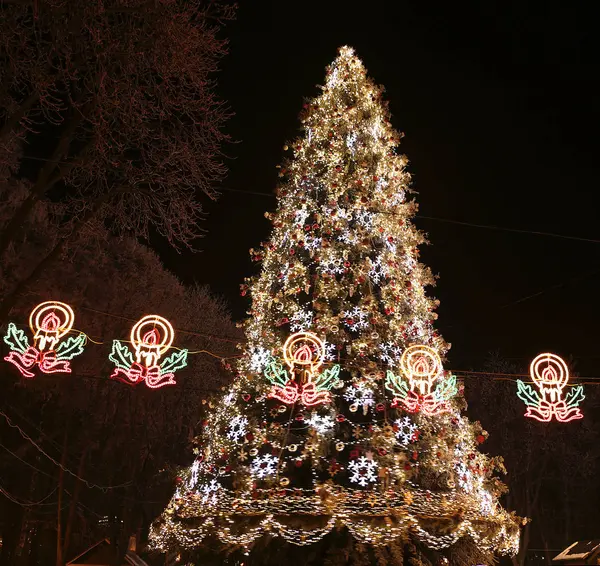 Şehir Noel ağacı Vinnitsa Ukrayna fotoğraflar için mikro-stok