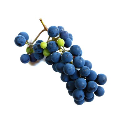 Sulu üzüm ya da bir çerçeve beyaz üzüm ile