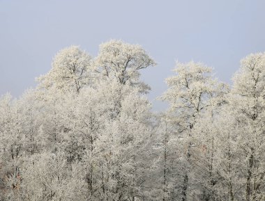 doğada kış ve soğuk sezon, kış manzaraları ve İmkanları mikro-stok fotoğraf