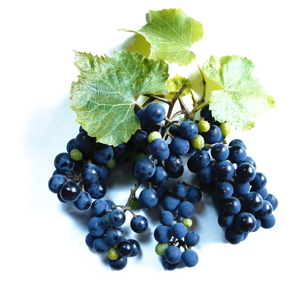  üzüm ya da çerçeve bir grup ile bir fotoğraf için bir mikro-stok demet