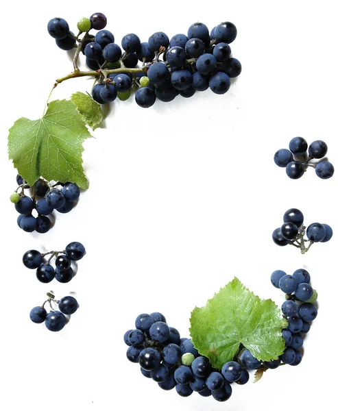 Sulu üzüm ya da bir çerçeve beyaz üzüm ile