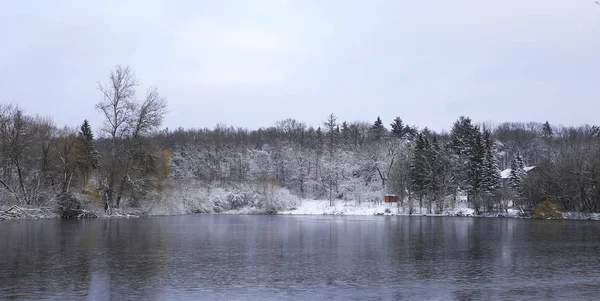 Naturaleza Invierno Estación Fría Paisajes Invierno Instalaciones Fotos Micro Stock — Foto de Stock