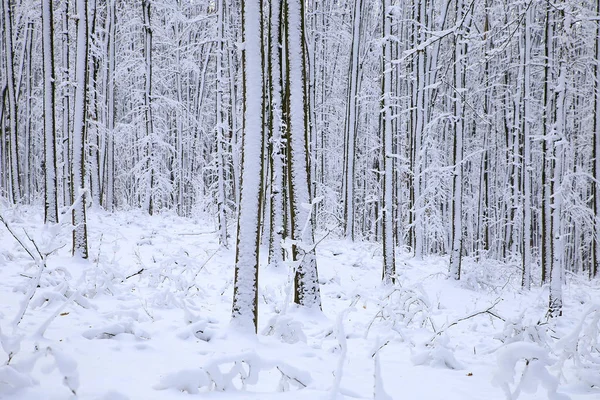 寒い季節 冬の風景 設備の自然写真マイクロ ストック — ストック写真