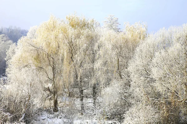 Nature Hiver Saison Froide Paysages Hivernaux Installations Photos Micro Stock — Photo