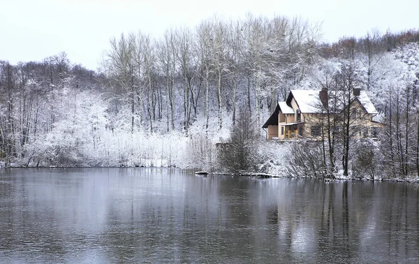 Nature in winter — Stock Photo, Image