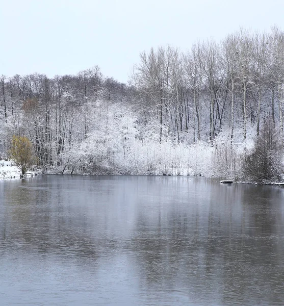 Naturaleza Invierno Estación Fría Paisajes Invierno Instalaciones Fotos Micro Stock — Foto de Stock