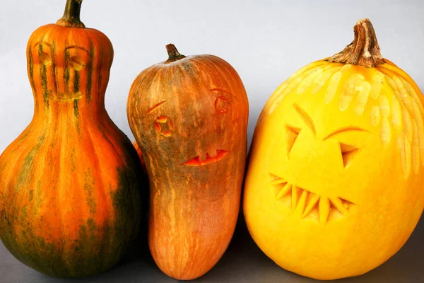 Kabak hasat mikro-stok için Halloween fotoğraf veya dekorasyon için