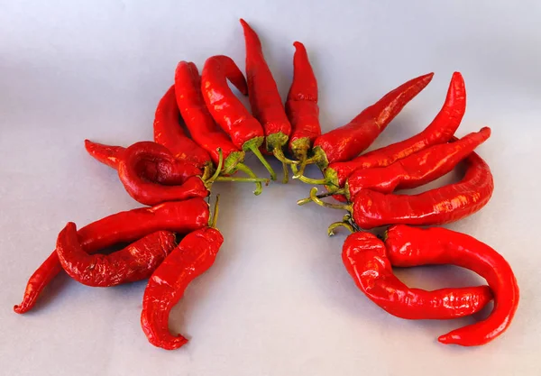 Scharfe Chilischoten — Stockfoto