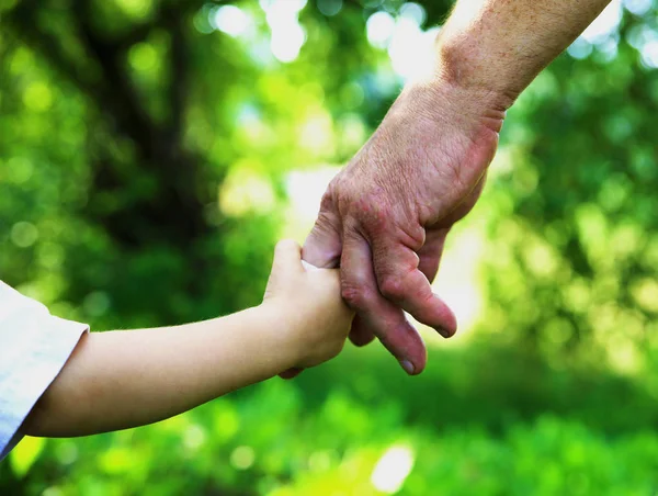 Gentle Parental Hands Holding Child Hand Photo Micro Stock — Stock Photo, Image