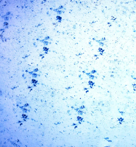 Microstoc에 신비한 — 스톡 사진