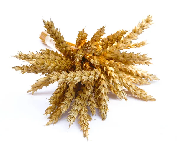 Buğday kulakları beyaz üzerine