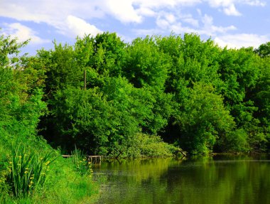 bahar ahşap zemin üzerine yeşil çayır üzerinden akan nehir