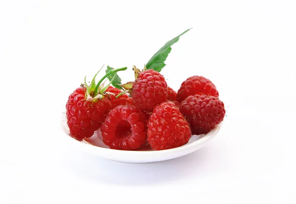 Schöne Himbeeren auf Weiß — Stockfoto