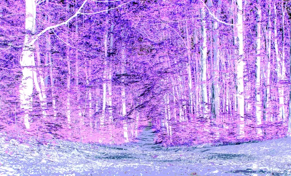 Camino a través del bosque — Foto de Stock