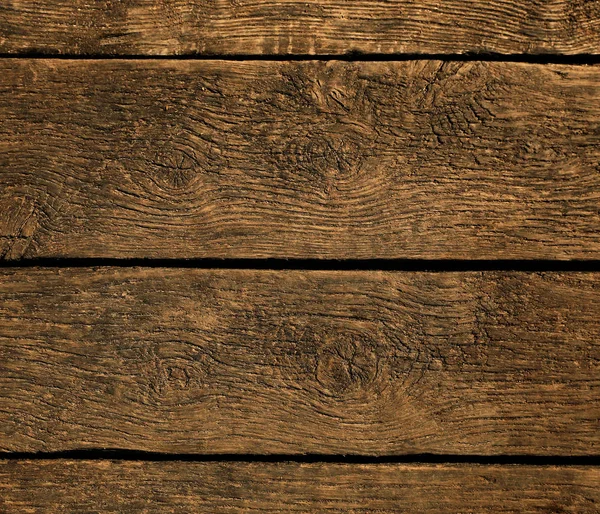 Orman çırpı fotoğraf