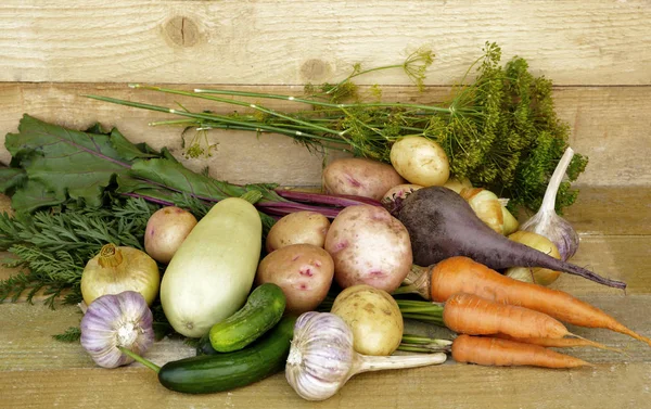 Yaz sebze arka planda