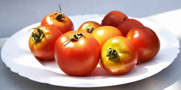 Beyaz arkaplanda domatesler