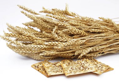 Buğday ve Mısır gevreği bisküvi