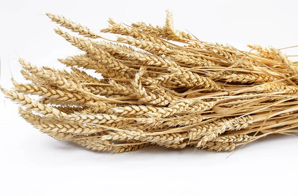 Buğday ve Mısır gevreği bisküvi