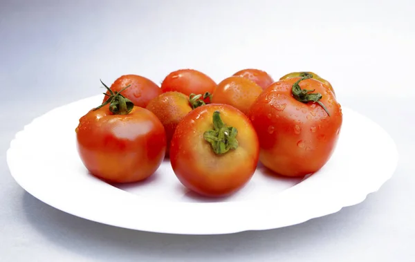 Tomates sobre fundo branco — Fotografia de Stock