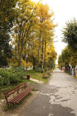  güzel manzara ve doğa fotoğrafları mikro stokunun manzarasına sahip sonbahar öğeleri