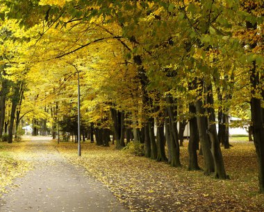  güzel manzara ve doğa fotoğrafları mikro stokunun manzarasına sahip sonbahar öğeleri