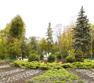  güzel manzara ve doğa fotoğrafları mikro stokunun manzarasına sahip sonbahar öğeleri