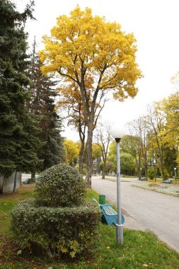  güzel manzara ve doğa fotoğrafları mikro stokunun manzarasına sahip sonbahar öğeleri