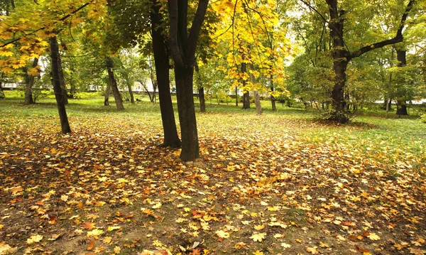 Красивые Пейзажи Осенние Элементы Видом Природу Фотографий Микро Инвентарь — стоковое фото