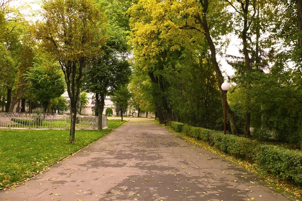 Belas Paisagens Elementos Outono Com Vista Para Natureza Das Fotos Imagem De Stock