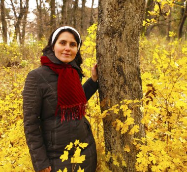 güzel manzara ve doğa fotoğrafları mikro stokunun manzarasına sahip sonbahar öğeleri