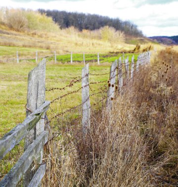 güzel manzara ve doğa fotoğrafları mikro stokunun manzarasına sahip sonbahar öğeleri