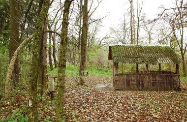 güzel manzara ve doğa fotoğrafları mikro stokunun manzarasına sahip sonbahar öğeleri